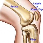 Nutrition Solutions for Knee and Joint Issues